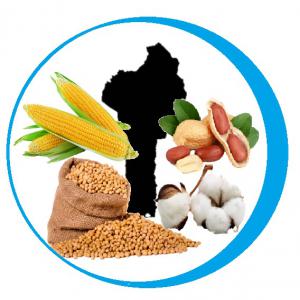  Vente De Soja Et Autres Céréales - céréales bonjour, ----vous etes &agrave; l'&eacute;tranger et vous ne souhaitez pas vous d&eacute;placer vers le b&eacute;nin,  grand producteur de soja,  coton,  maïs,  arachides... ----nous sommes un groupe franco- b&eacute;ninois,  r&eacute;sidant &agrave; cotonou,  contactez nous. ----nous travaillons pour vous