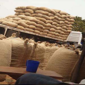  Besoin De Fournisseur De Noix De Cajou - roasted seeds and nuts je recherche un fournisseur de noix de cajou brute ( burkina,  c&ocirc;te d ivoire,  togo,  benin ) pour ex&eacute;cuter la commande suivante ---nom du produit - noix de cajou brutes ---- moq - 18 tonnes-- conditions d'exp&eacute;dition- fob -- conditions de paiement - cad 100% banque &agrave; banque -