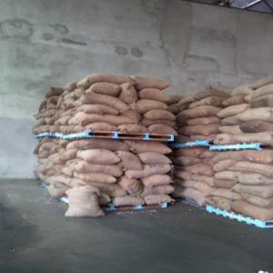 Agricultural Products (cereals) - cereals do not hesitate to contact us . always available to talk business. grain products- soy,  corn,  peanuts and others. shipping terms- exw ,  payment terms- t/t