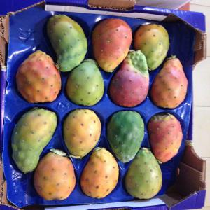  Figue De Barbarie Fruits Et Cladodes - fruits et légumes bonjour,  nous recherchons des fournisseurs qualifi&eacute;s pour l'exportation de figues de barbarie tri&eacute;es et non tri&eacute;es,  pour le march&eacute; du frais et pour la fabrication de jus en allemagne,  conventionnel et certifi&eacute; biologique. nous recherchons &eacute;galement des fourn