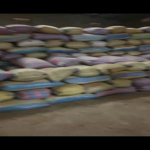  Sésame Bigarré - céréales nous disposons de sésame bigarré d'une quantité de 300 tonne. nous sommes au burkina faso et nous exportons partout. nous sommes aussi disponible pour d'éventuel partenariat.
