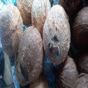  Produit Agricole Cote D'ivoire - fruits et légumes bonjour,  nous sommes une société d’import-export,  spécialisé dans le négoce de produit agricole en provenance de côte d'ivoire.-- - la noix de coco-- - l'anacarde-- - le piment-- - l'aubergine-- et tout type produit à la demande.----vous trouverez avec