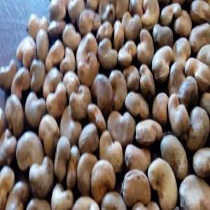  Storage And Export Of Grain Products - cereals hi,  i am in an area with very high grain production.--              the lack of warehouses is the major problem in the region and this represents an asset for investors.--              it is in this dynamic that i am looking for partners to build stores in order to be able to buy back all the produc