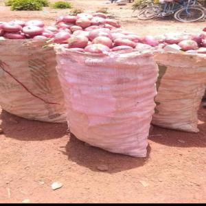  Vente D'oignons - fruits et légumes nous sommes au burkina faso et nous disposons d'une grande quantité d'oignons.--- sac de 25 kg - 15000 francs cfa--- sac de 50 kg - 24000 francs cfa--- sac de 100 kg - 40000 francs cfa--ces prix sont de l'incoterme exw