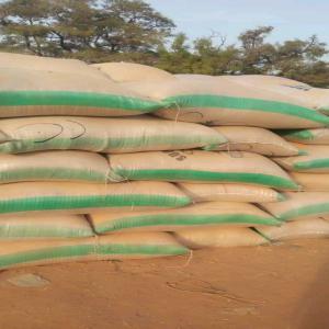  Disponible - céréales nous sommes au burkina faso plus pr&eacute;cis&eacute;ment &agrave; ouagadougou pour tout vos besoins _s&eacute;sames bigarr&eacute; mixte et blanc _coton bola s _oignon soja anacarde maïs rouge et blanc  nous avons plus de 1000 tonnes disponible voici nos contacts wha