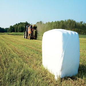  Balles De Foin Export Départ France Belgique - aliments pour animaux bonjour, ----nous commercialisons des balles de foin pour l'export,  100% naturel,  idéale pour l'alimentation du gros et menus bétail.--nos balles de foin sont conditionnés sous vide afin de préserver la qualité du fourrage.----nous pouvons assurer l'organisation de 