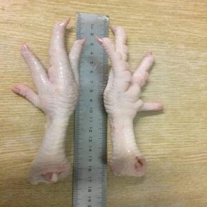  Pieds De Poulet - viandes et oeufs je cherche des acheteurs de pieds de poulet chicken paws grade a pour plus de d&eacute;tails contactez moi 