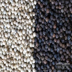  Pepper - aromatic spices dear sir/madam,  (hs 090411)--we would like to offer- pepper which consist of black pepper and white pepper. botanical name- piper nigrum. typical characteristic of black pepper- 550grms/liter (min. density),  13.5% (max. moisture),  0.5% (max. admixture). white pepper- 630grms/liter (min. density),  13