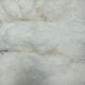  Offre De Coton Fibre D'origine Malien - semence graine plant              en qualité d’agréé auprès de la cmdt (compagnie malienne de développement des textiles),  nous mettons en vente un volume important de coton fibre de la récolte 2021-2022--les caractéristiques technologiques se présentent comme suit