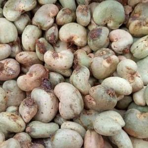  Noix De Cajoux Et Les Graines De Soja - autres nous sommes spécialisé dans la vente des produits tropicaux tels que les noix de cajoux et les graines de soja.--produits 100% bio sans ogm produit en afrique de l'ouest. ils sont de meilleurs qualité et très propre pour la consommation humaine.