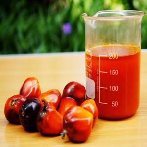  Crude Palm Oil Incoterm Cif - olis hello, ----we are an fair commodities trading compagny  do not hesitate to contact us in order to obtain a incoterm cif price according to your crude palm oil needs.----best regards