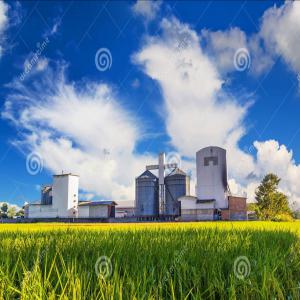  Agriculture Intensive, Industrie Agro-alimentaire - Investissement capitaux  je recherche un investisseur qui deviendra mon associ&eacute; dans un projet d'agriculture intensive et industrie agro alimentaire &agrave; madagascar. je cherche &agrave; lever un capital de 1 500 000 dollars usd. le retour sur investissement est rapide apr&egrave;s 24 mois. projet &