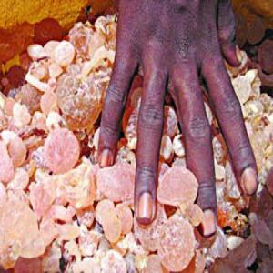  Gomme Arabique Malien En Destockage - autres nous somme une entreprise sp&eacute;cialis&eacute;e dans la commercialisation des gommes arabique du mali.--nous avons un important stock a notre disposition,  plus de 50 tonnes 