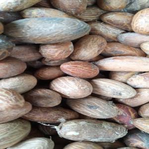  Vente De Noix De Cola Et De Bitter Kola - autres je dispose d'un important stock de noix de cola nitida et de bitter cola à abidjan à des prix imbattables. j'ajoute également que mes ont été recueillis selon le process de qualité exigé par les industries de boissons et et tonifiantes.