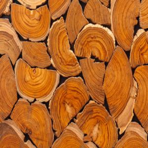  Teck Wood - wood charcoal fiber hello,  we have a good forest of wood'steck and we can deliver to you in industrial quantities according to the order of each of our customers,  contact us we will deliver to you every month.--