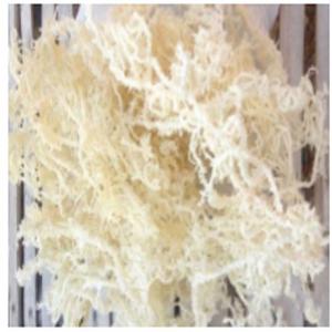  Seaweed (dried) - horticulture plant biofuel dear sir/madam,  (hs 121220)--we would like to offer- seaweed. state- dried. botanical name- eucheuma cottonii. our country is one of the biggest dried seaweed producer in the world. the dried seaweed is coming from many area in our country. seaweeds are commonly use as- food material,  cosmetics,  fer