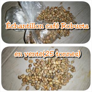  Café Vert Grade En Vente En Urgence - fruits et légumes 25 tonnes de café en grain stocké en entrepot en vente urgemment à 850 francs cfa/kg.--lieu - abidjan côte d'ivoire--contactez moi si vraiment intéressé hors espace agro--prix - 850 francs cfa/kgs