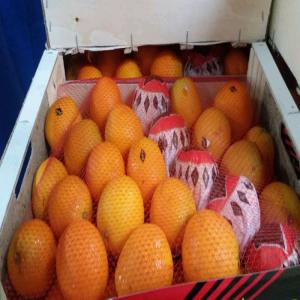  Orange - fruits et légumes nous vous proposons notre produits agrumes (orange valencia )en tout calibres et emballages,  vraiment nous cherchons des clients serieux payeurs dans le monde entier. alors nousallezavoir labonne qualité et meilleurs de condition d exportation et bien sur ades prix raisonables.