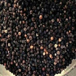  Toutes Sortes De Produits Locaux De Madagascar - fruits secs et graines grillées la plupart des malgaches sont producteurs de nombreux produits tropicaux qui se retrouvent sur notre table cacao caf&eacute; poivre vanille cannelle gingembre canne &agrave; sucre fruits il y a encore beaucoup de produits locaux qui peuvent etre exploit&eacute;s notamment &agrave; mad