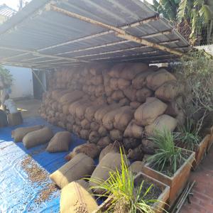  Vente De Cacao Provenance Du Congo Brazzaville - café cacao thé la cacao est produite au nord du congo brazzaville j'aimerais partager cette annonce avec vous pour plus de clients et on exporte merci de nous contacter 