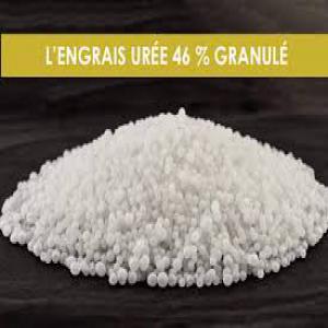  Urée Granulés 46 - chimie additif engrais disponible urée granulé en vrac ou conteneur embalé en sac . en fob ou bien en cif --contacter nous pour plus de details merci 