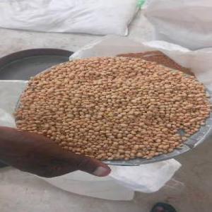  Besoin Des Acheteurs De Soja Pour L'exportation - céréales nous recherchons urgemment des acheteurs s&eacute;rieux de soja pour un stock de 3000 tonnes &agrave; cotonou. le soja est d&eacute;j&agrave; nettoy&eacute; ( van&eacute;) pret pour l'exportation. besoin de toute acheteurs capable de prendre les 3000 tonnes. mode mode paiement est lc irrevocable ou 