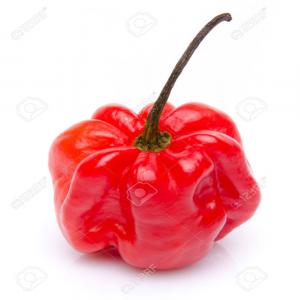  Piment Frais Dans La Région Du Centre Cameroun - épices aromates piment frais dans la région du centre cameroun plus précisément dans la ville de yaoundé en destockage 