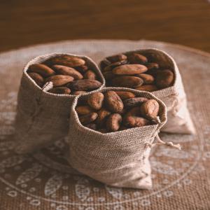  Vente En Gros De Fève De Cacao - café cacao thé nous sommes une entreprise de négoce dans le commerce international spécialisé dans la fève de cacao d origine république du congo.--nous sommes à la recherche de partenaires fiables et sérieux qui ont une vision et des valeurs similaires à not