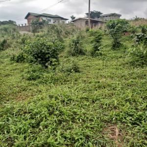  Terrain, Immobilier - mine terrain concession recherche d'un terrain titré pour achat-- d'une superficie de 1000 ha dans le département de la sanaga maritime,  région du littoral au cameroun 