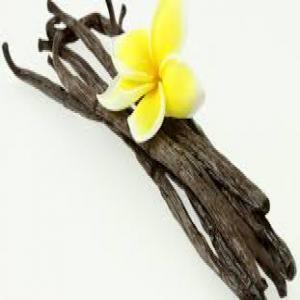  Vanille Bourbon De L'ile De La Reunion - épices aromates  nous disposons de vanille bourbon de la réunion biologique ou conventionnelle réputée pour son parfum conditionnement selon vos besoin sous vide ou pas. nous recherchons un distributeur en france métropolitaine ou des commerçant désireux de proposer un prod