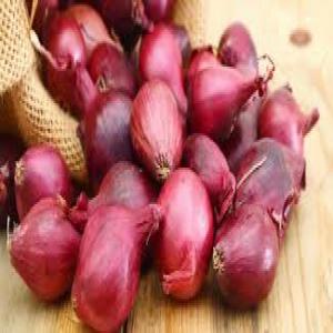  Vente Oignon Rouge - fruits et légumes bonjour,  on dispose une grande quantit&eacute; d oignon rouge d'origine tunisienne de haute qualit&eacute; avec un prix comp&eacute;titifs.pour plus d'information contacter nous sur whatsapp ou par e-mail.
