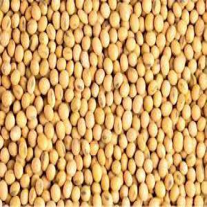  30.000 Tonnes De Soja Vanne Sur Cotonou - céréales je recherche de toute urgence un fournisseur de soja vanné propre et conditionné dans des sacs de 100 kg à livrer dans mon magasin à akpakpa au prix de 360.000 fcfa la tonne ttc. le produit doit etre 100% d'origine béninoise et destiné à la consommati