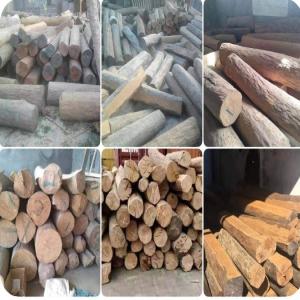  Cherche Client Humbertia Madagascariensis En Fra - matiere vegetale bonjour,  ----je cherche des clients en france ,  des humbertia madagascariensis ( bois de fer ou sandalwood).--la matière  vient de madagascar,  évidemment,   et de très bonne qualité . --cordialement 