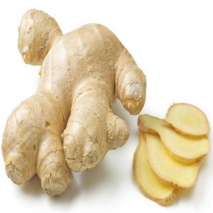  Gingembre Arachides Fraiches Ananas Exotiques - fruits et légumes vous etes - producteurs - exportateurs - importateurs ?--si oui quel est votre prix de vente ?----vous etes - commercial (commerciaux - auto-entrepreneurs - agents commerciaux ind&eacute;pendants - vrp - agence commerciale - vendeurs) ?--vous etes le bienvenu et vous etes r&eacute;mun&eacute;r&eacut