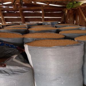  Commercialisation De Soja,mais,arachide - céréales nous somme une structure au bénin specialise dans la commercialisation des produits tropicaux .... achat, vente, négoce et transit de cajou,  mais ,  soja, arachides et autres