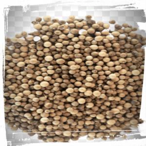  Importation Du Poivre De Penja Camerounais Pur - épices aromates salut.je reside au cameroun et je suis exportateur du poivre de penja vers les pays europ&eacute;&egrave;ns.si vous le souhaitez, je suis pr&egrave;s &agrave; vous livrer de petite ou grosse quantit&eacute;s selon votre demande.merci de bien vouloir me contacter.