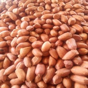  Cajou Café Coton Karité Soja Sesame Anacard - fruits secs et graines grillées nous sommes une société spécialisée dans les produits sèche que nous pouvons vous offrir une grande quantité celons votre demande contacter nous et vous ne serez pas déçu. --merci. 