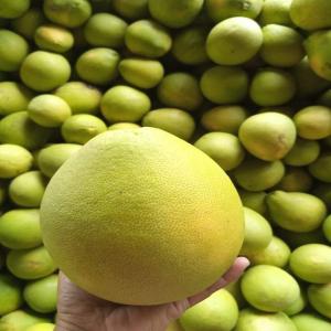  Fruit Frais Cueillie Dans Les Champs - fruits et légumes salut a tous je suis producteur de produits agro alimentaires donc du coup je suis exportateur et je r&eacute;side au cameroun et en contact avec d'autres producteurs dans le monde. donc si vous avez besoin d'articles agro alimentaire vous pouvez me contacter quelque soit votre pays vous vous fer