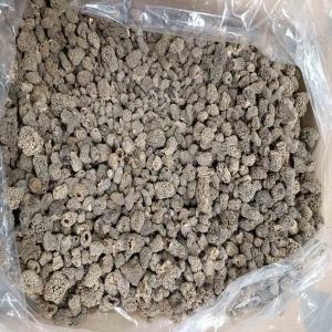  Vente Morilles Séchées En Direct Du Producteur - champignon levure morchella esculenta séchée (la morille commune) est disponible en stock.--première année. souches coupées. taille - 0-4 cm.--quantité minimum de commande - 1 carton - 4 kgs