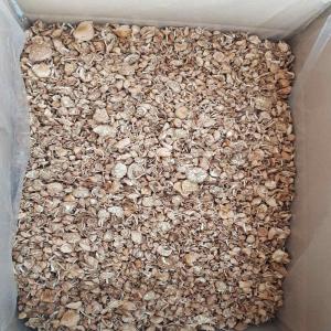  Dried Marasius Oreades (faux Mousseron) -  yeast fungus dried marasius oreades (faux mousseron)--packing- carton box 7 kgs net weight--minimum order quantity- 1 box