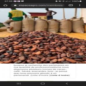  Nous Avons Une Bonne Qualité De Cacao Café Ferme - café cacao thé nous avons une bonne qualité de cacao café ferme 70+ tonnes par mois négociateur acheteurs,  clients,  transporteur etc