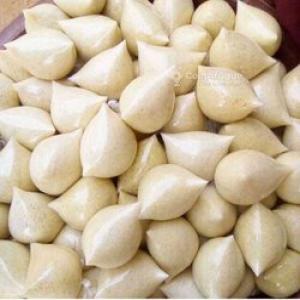  Annonceur Cereale - autres nous sommes une structure qui exporte depuis la c&ocirc;te d'ivoire du couscous de manioc communement app&eacute;l&eacute; ''atti&eacute;k&eacute;'' ; du mais; du mil ; de la noix de cajou et tous sortes de produits. nous recherchons les clients potentiels des ces produits.