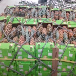  Vente Ou Prestations Ananas - fruits et légumes nous vous proposons pour cette semaine de l'ananas - soit ddp ou cif ou fob ou bord champ----1. ananas biologique premium certifié par ecocert au prix bord champs de 0.25€/kg la variété cayenne lisse origine benin ou togo ou ghana ou cote d'ivoire----2. ananas biologique premium