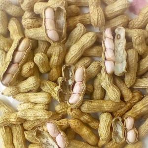  Vente Et Prestations Pour Arachides Fraiches - fruits et légumes nous vous proposons pour cette semaine des arachides fraiches - soit en ddp ou cif ou fob ou bord champ au choix!----exemple ---arachides fraiches au prix bord champs de 0, 50€/kg la variété de bouche togo ou benin ou ghana ou cote d'ivoire,  à vous de choisir.----nous avons jusqu
