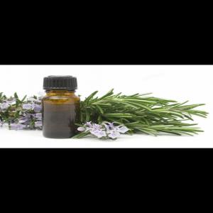  Huile Essentielle Romarin - huiles nous sommes une coop&eacute;rative des huiles essentielles situ&eacute; &agrave; la r&eacute;gion d'errachidia. nous avons &agrave; votre disposition huile de romarin pour l'instant. la quantit&eacute; que vous voulez. merci 