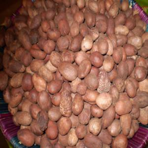  Matières Premières En Afrique - céréales bonjour nous sommes au d&eacute;but de la campagne des noix de karit&eacute; au b&eacute;nin.pour tout ceux qui ont besoin pas trop de bavardage contact  pour une livraison de qualit&eacute; et en quantit&eacute;.