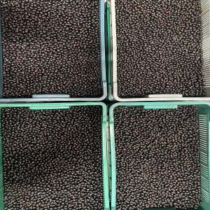  Myrtilles Framboises Cassis Mûres... - fruits et légumes nous offrons des baies d'ukraine surgelées ou fraîches (myrtilles sauvages). les expéditions se font à partir de pologne pour l'union européenne. n'hésitez pas à nous joindre. 