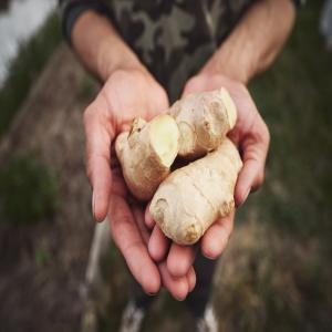  Épices Aromatisé Africaine En Grande Existantes - épices aromates nous recherchons des acheteurs d'épices aromatisé plus précisément en europe ou au usa. --nous avons - du gingembre,  du poivre,  piment sec , gombo , aie, et beaucoup d'autres...de l'huile rouge ,  de manioc etc