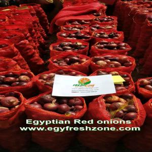  Oignon Égyptien - épices aromates nos oignons sont d&eacute;j&agrave; disponibles de tr&egrave;s bonnes qualit&eacute;s. nous avons plus assez pour tout le monde veillez passer vos commandes.