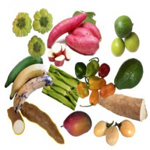  Distribution Fruits Et Legumes Exotiques - fruits et légumes vous etes - distributeurs - grossistes - centrales d'achat - revendeurs spécialisés - revendeurs labellisés biologiques - supermarchés ?----vous etes le bienvenu et nous vous ferons les meilleurs prix et services au monde!.----nous sommes aussi un cabinet d'accompagnement
